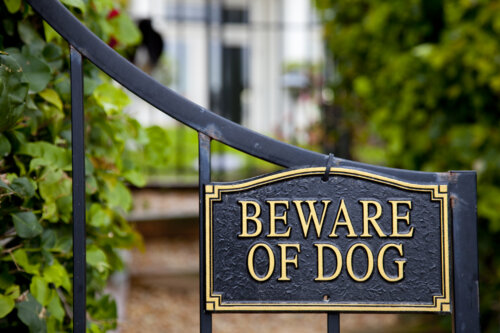 Beware of Dog. The sign on the gate is a clear warning to stay away.