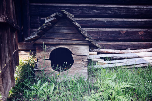 Empty old wooden dog house.