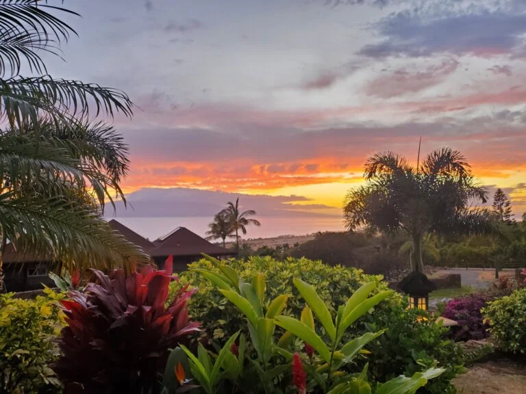 A vibrant sunset over the ocean, seen from behind lush tropical plants and palm trees.