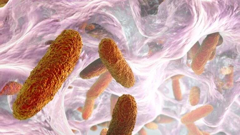 "3D illustration of bacteria cells under a microscope"