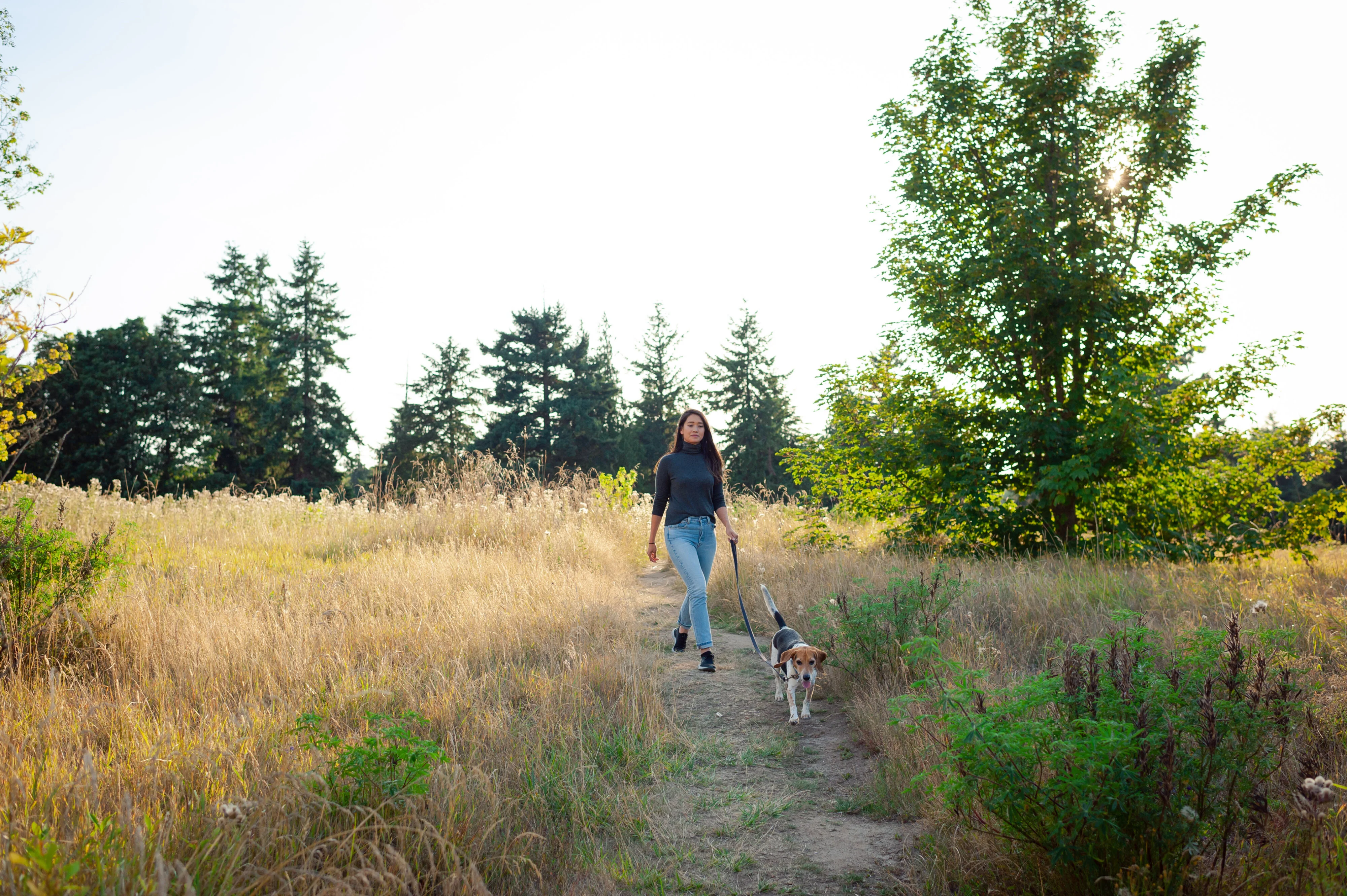 A young woman walks her dog on a leash along a dirt path through a sunny, grassy field.