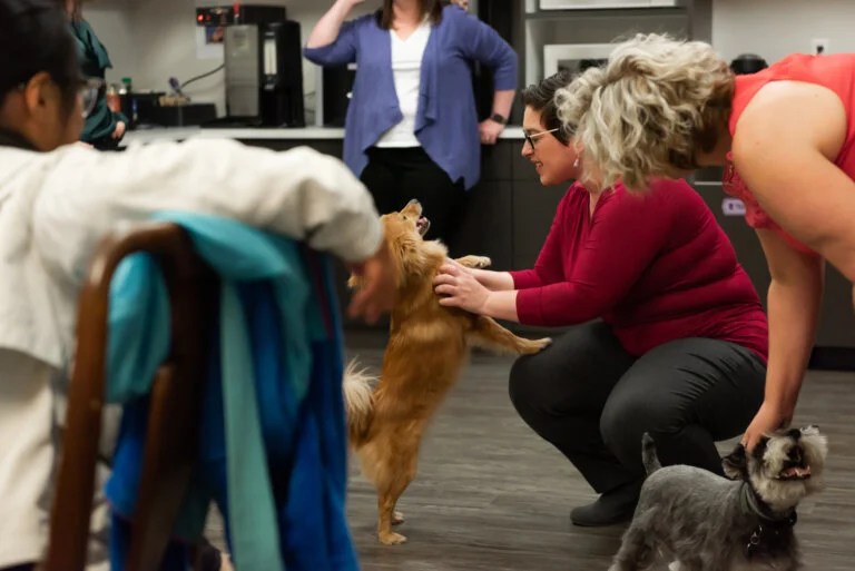 People petting two small dogs in an office break room.