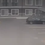 Publicly available surveillance footage showing two dogs approaching a pregnant woman moments before a serious dog attack in Tacoma, Washington.