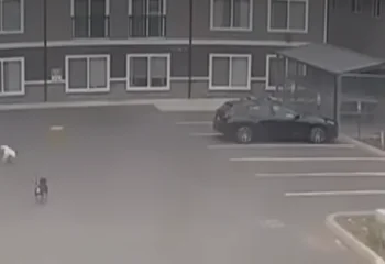 Publicly available surveillance footage showing two dogs approaching a pregnant woman moments before a serious dog attack in Tacoma, Washington.